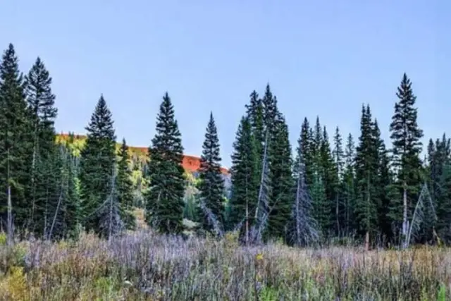 Colorado Hard Money Loan Parameters